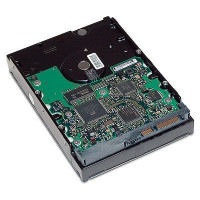 HP - Pevný disk - 1 TB - interný - 3.5 (LQ037AA)