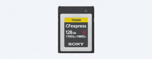 Sony 128GB CEBG128