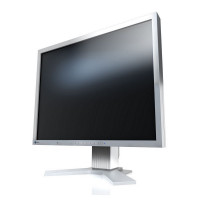 EIZO  FlexScan S2133-GY-LED monitor-21.3