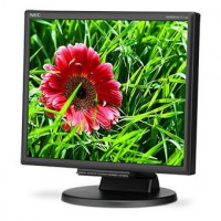 NEC MultiSync E171 - LED monitor - 17