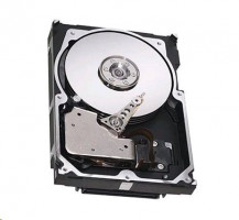 Seagate ST3300057SS