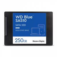 Western Digital Blue SA510 2.5  250 GB Serial ATA III
