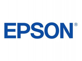 EPSON C13S020690