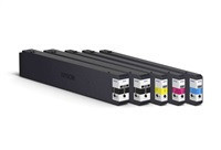 EPSON C13T02Q100 - originální cartridge, černá, 50000 stran