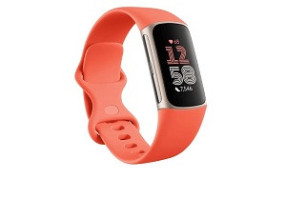 Fitbit Charge 6 Red GA05184-GB(EU)