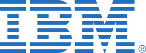 IBM 47C8656 ServeRAID M5200 Series 1GB Cache/RAID 5 Upgrade for IBM Systems